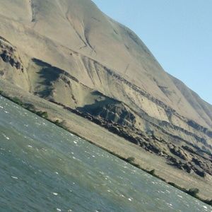 Meet your Posher, Shawn